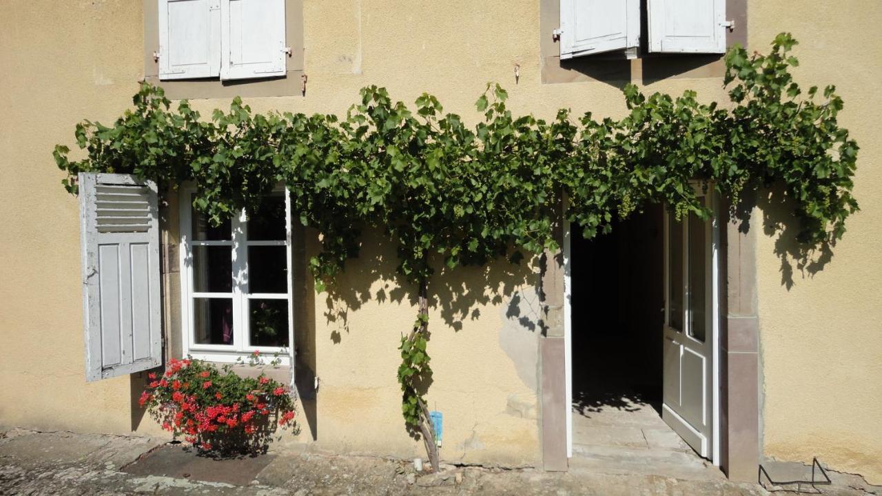 Domaine Les Bachats Rhodes Eksteriør billede